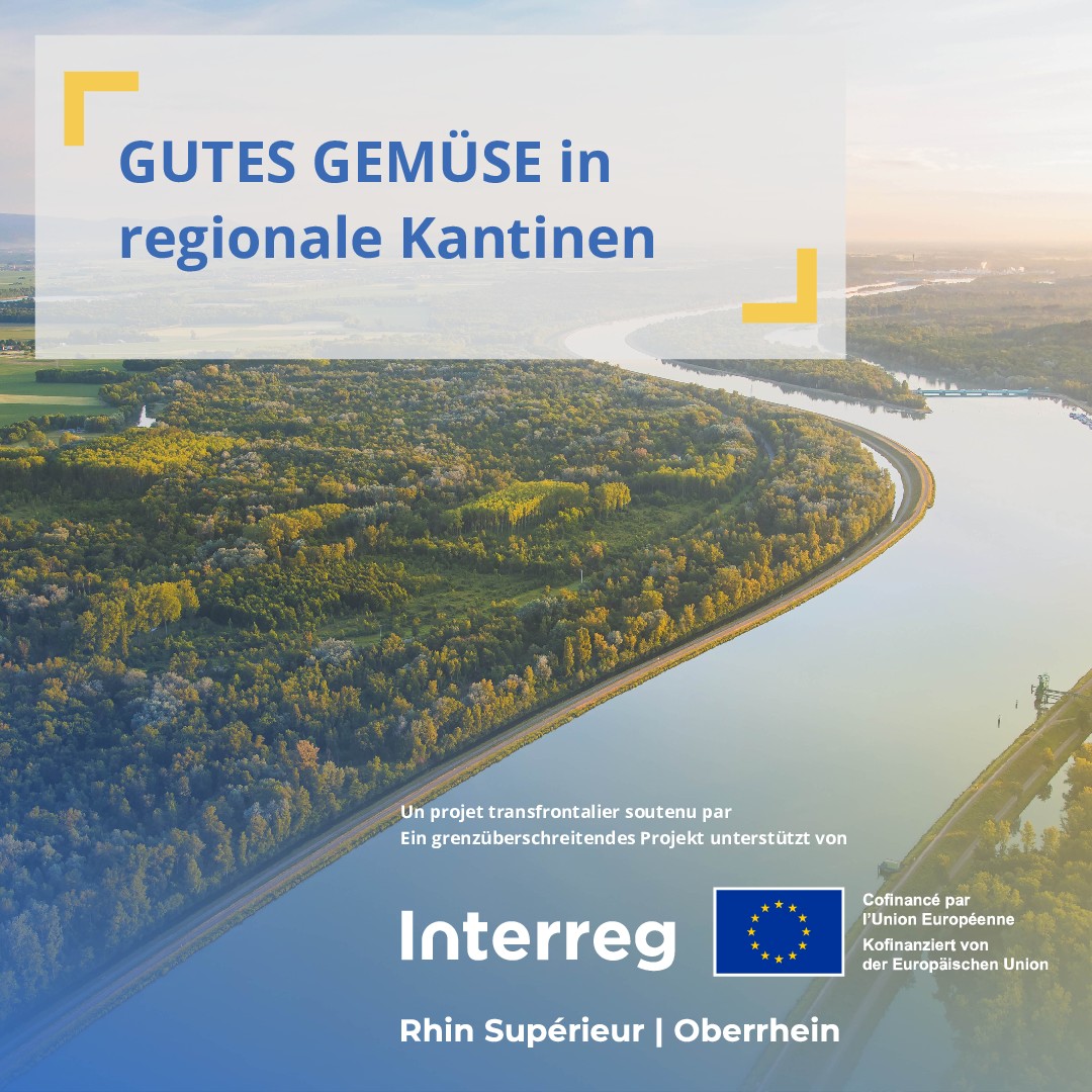 Gutes Gemüse kofinanziert von iinterreg