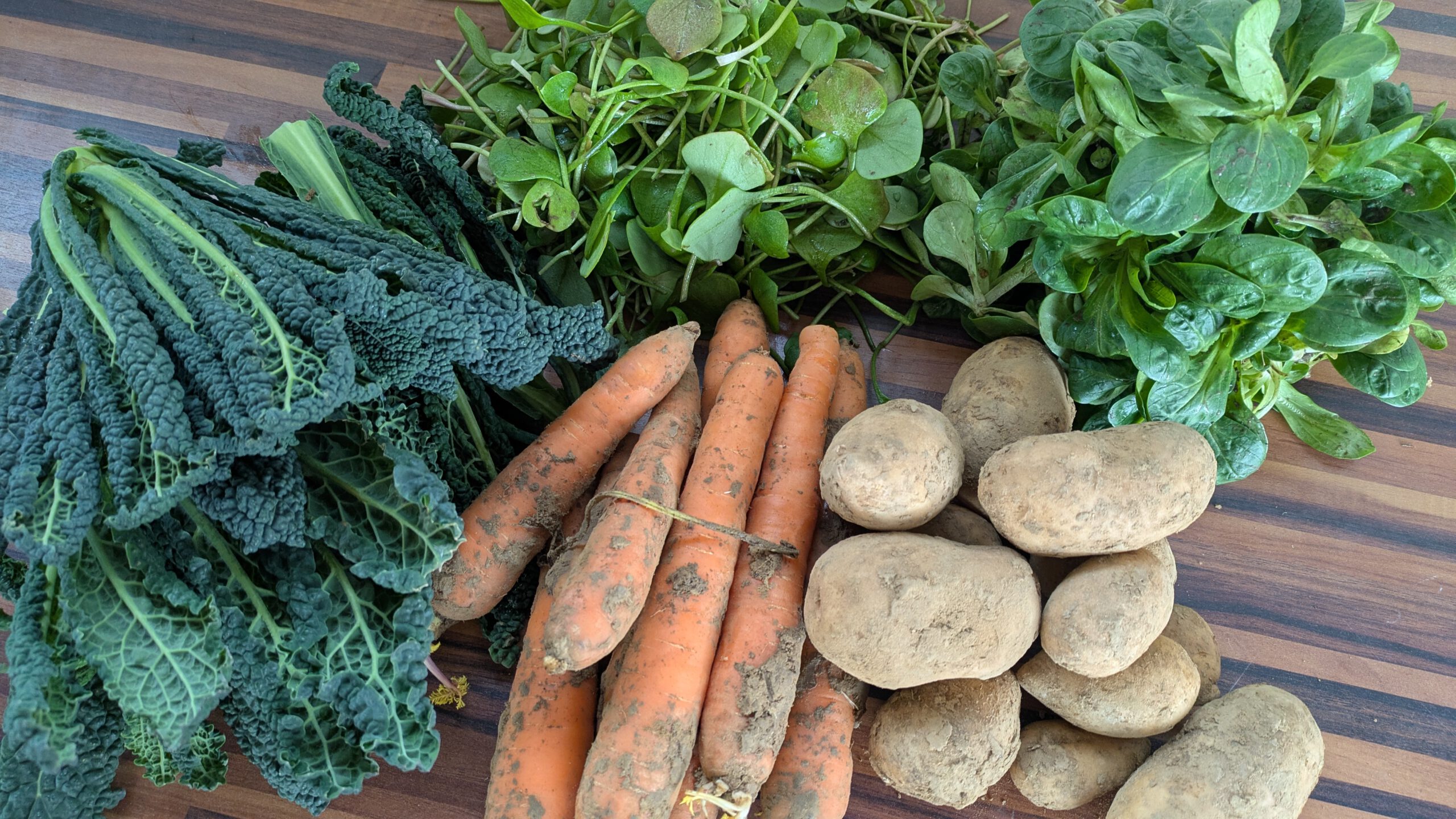 Gemüse-Anteil im Februar