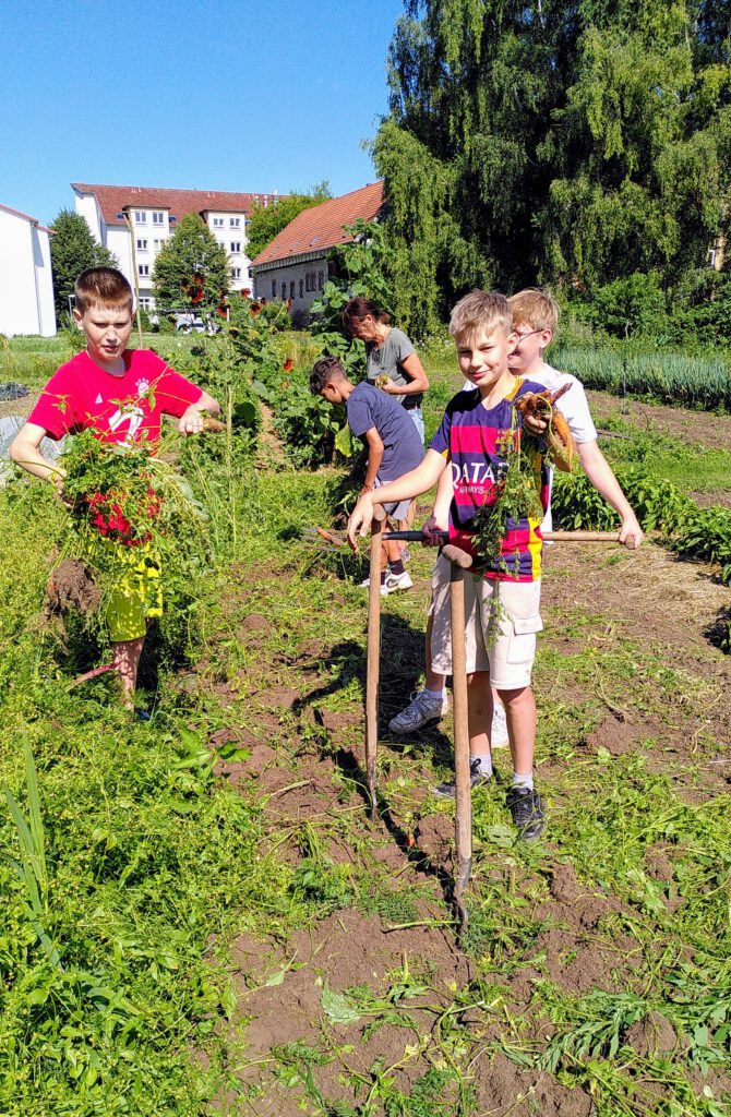 Kinder auf dem Gemüseacker