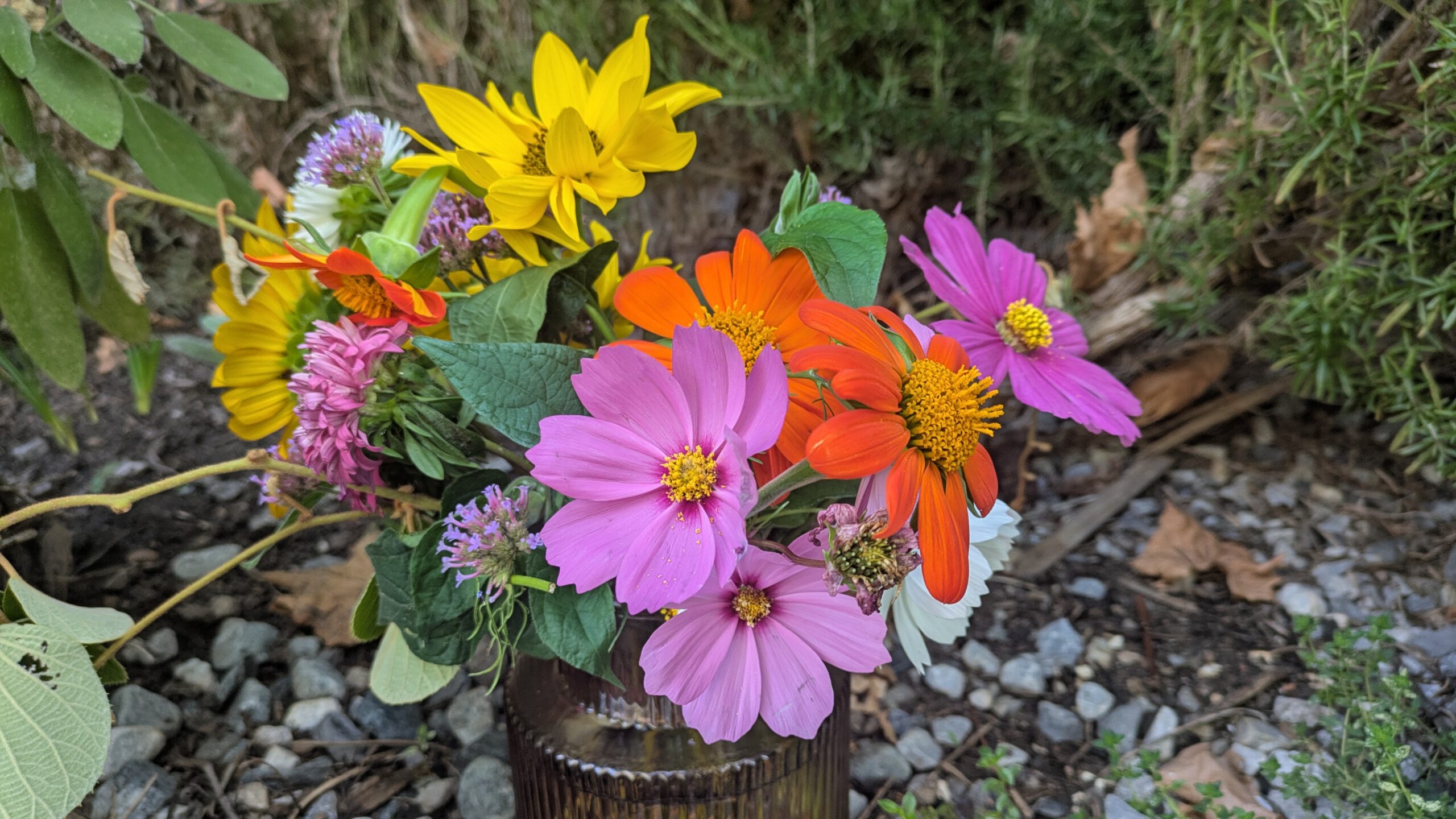 Blumen im Sommer - eine frabenfrohe Ergänzung